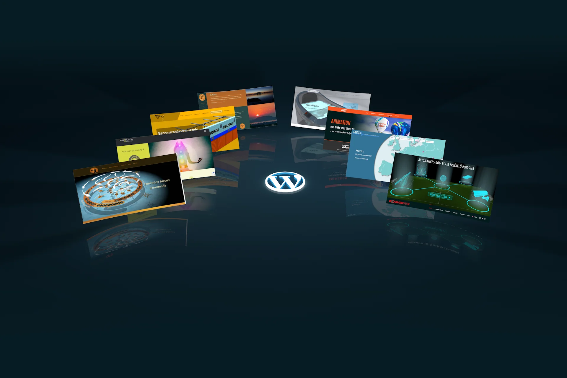 wordpress weboldal készítés referenciák - anymotionvideo